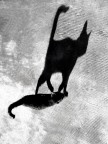 L'Altra Ombra L'Altra Ombra