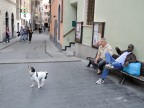 st st