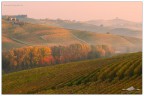 TERRE DEL BAROLO TERRE DEL BAROLO