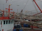 Porto thailandese Porto thailandese