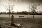 al parco al parco