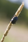 Togliere gli ormeggi Togliere gli ormeggi