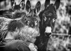 Non aver paura...ne è pieno il mondo! Non aver paura...ne è pieno il mondo!