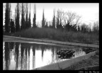 Rovine 5 Rovine 5