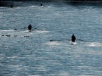 Canoisti Canoisti