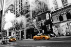 New York City New York City