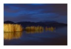 Lago di Massaciuccoli 2 Lago di Massaciuccoli 2