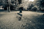Fall Fall