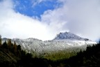 prime nevicate prime nevicate
