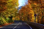 ciao ragazzi! foto scattata per incorniciare i primi colori dell'autunno!
commenti e critiche ben acceti