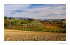 Montefalco (paesaggio)