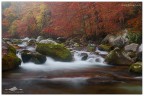 Autunno in valle Pesio Autunno in valle Pesio