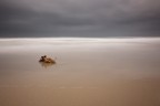 Solitudine Solitudine
