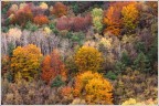 Autunno Autunno