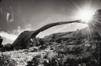 Landscape arch Landscape arch
