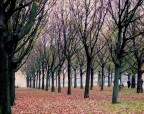parco in città parco in città