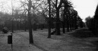 Schonbrunn Schonbrunn