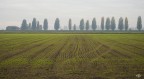 V� Pindemonte