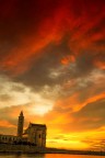 trani trani
