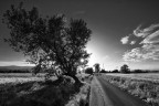 Campagna Campagna