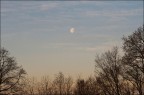 Coro alla luna...