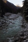 Fredda alba Fredda alba