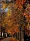 autunno autunno