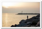 "il mattino ha l'oro in bocca" "il mattino ha l'oro in bocca"