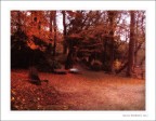 autunno al parco di Monza autunno al parco di Monza