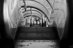 (IiI)