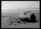 la vecchia e il mare la vecchia e il mare