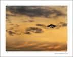 Ho avvistato un UFO sopra i cieli di Milano Ho avvistato un UFO sopra i cieli di Milano