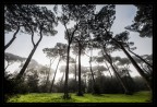 EdeN EdeN