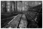 solitude solitude