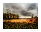 paesaggi pavesi di novembre paesaggi pavesi di novembre