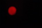 Red Passion Red Passion