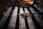 Stand alone Stand alone