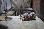 Nudo e crudo Nudo e crudo