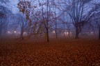 nella nebbia nella nebbia