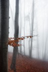 Tracce d'autunno