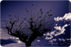 Il cielo è blu sopra le nuvole Il cielo è blu sopra le nuvole