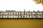 giallo giallo