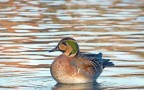 Un giorno al parco Un giorno al parco