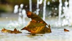 Il mio autunno Il mio autunno