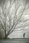 Alone Alone