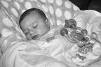 Basta giocare ... ho sonno! Basta giocare ... ho sonno!