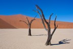 dead vlei