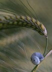 @ .. @ ..