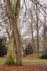 Un abbraccio nel parco Un abbraccio nel parco