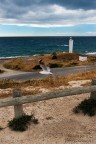 IL Faro IL Faro